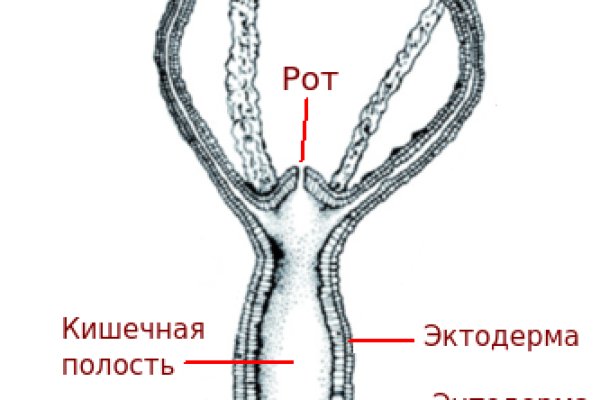 Как пополнить кошелек на кракене