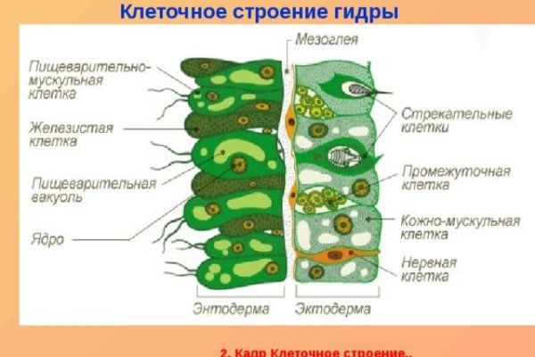 Как заказать на кракене