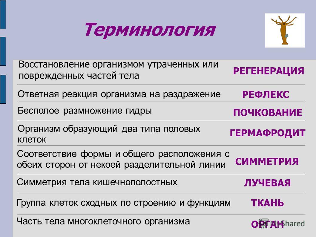 Как найти ссылку на кракен